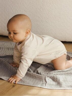Quincy Mae - Crewneck Bubble Romper (Dragons) 6-12 months organic cotton boys
